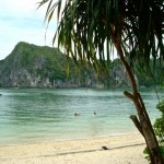 island_halong_bay_vietnam