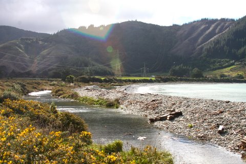 sunshine_on_drive_to_picton