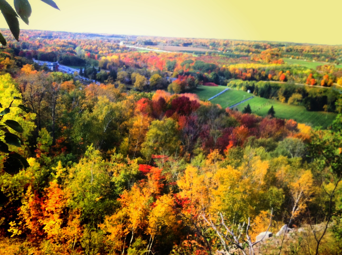 halton-heights-ontario