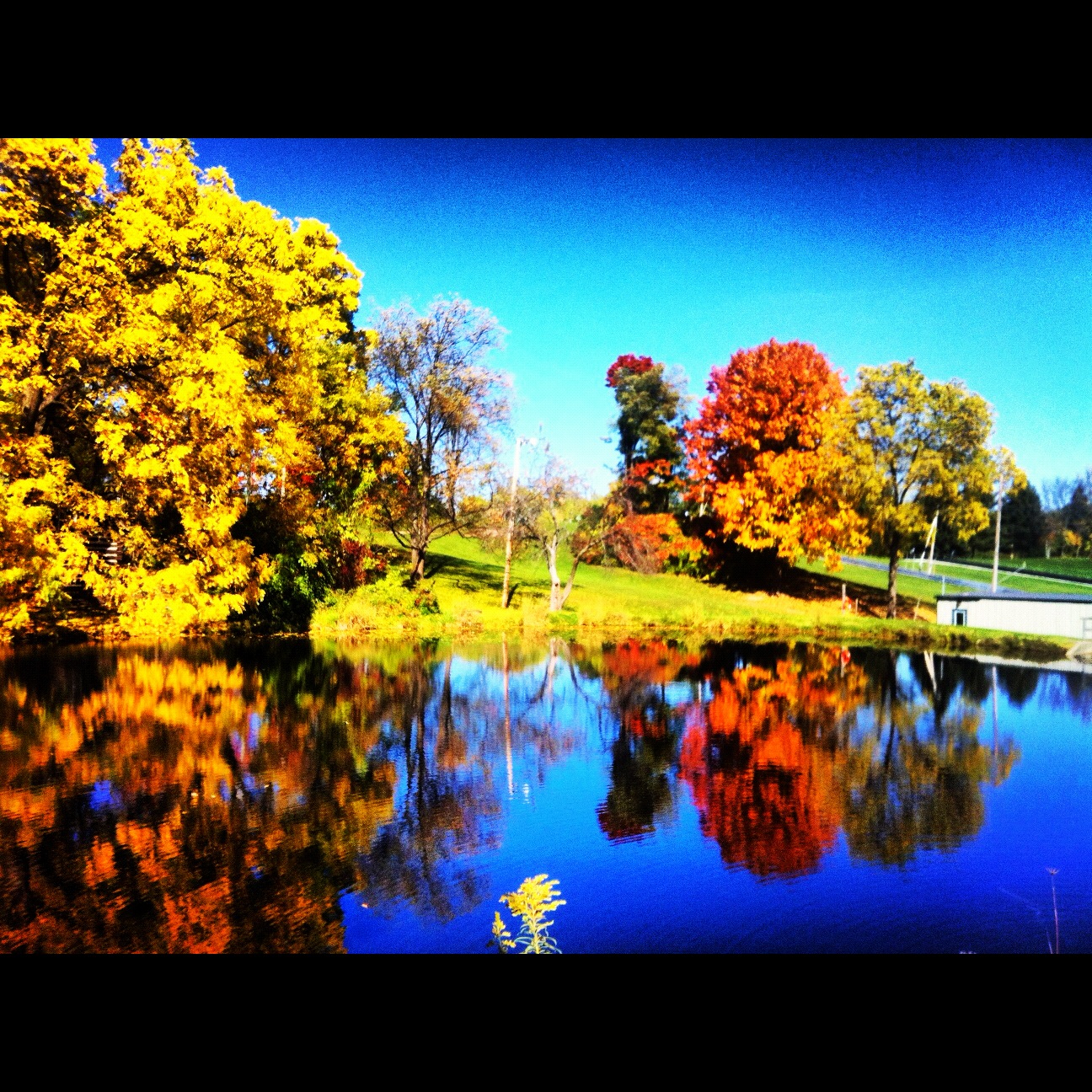 Canadian-Nature