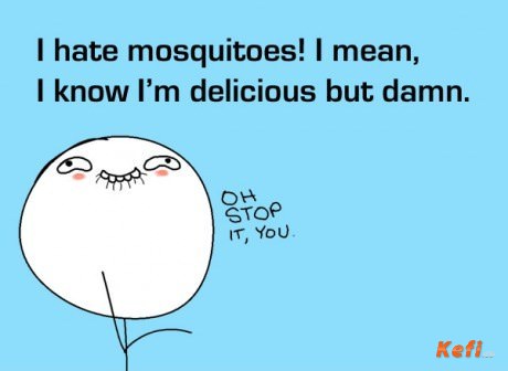 worst month for mosquitoes in dominican republic
