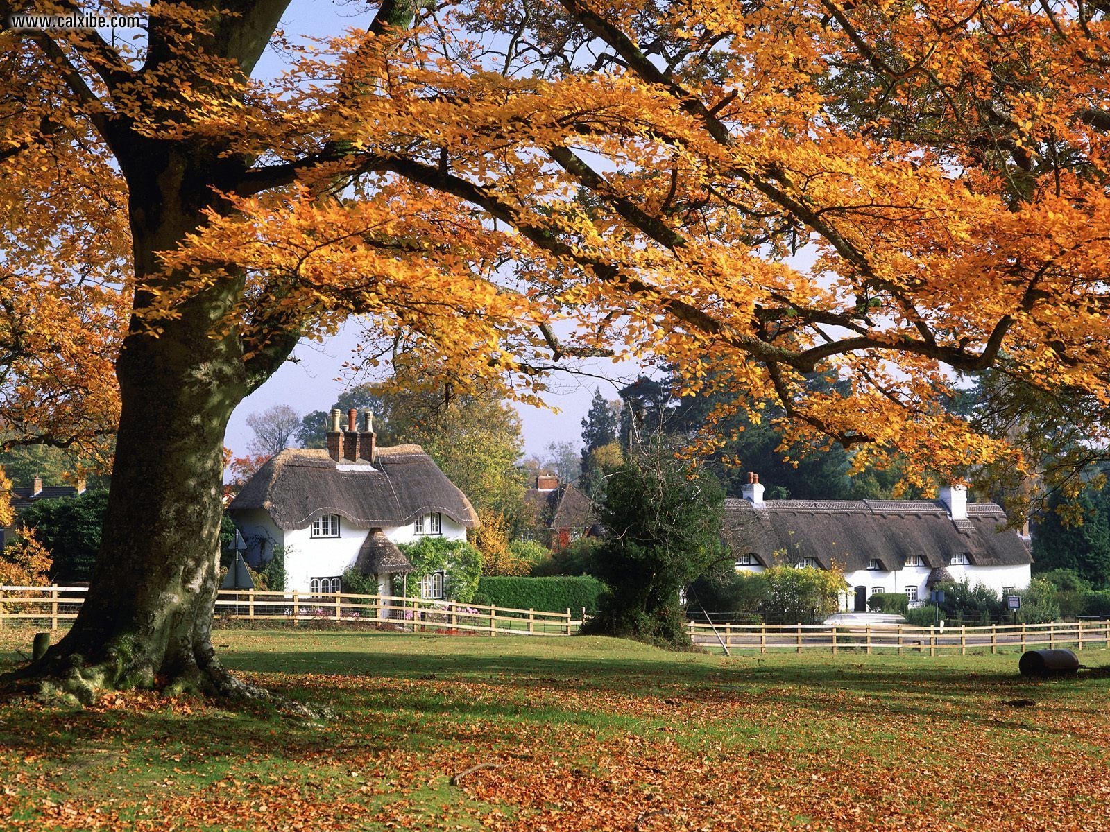 Relax and Unwind In Hampshire