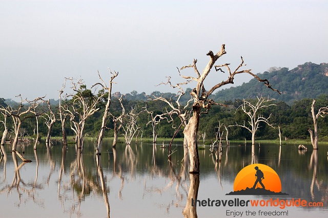 Yala National Park