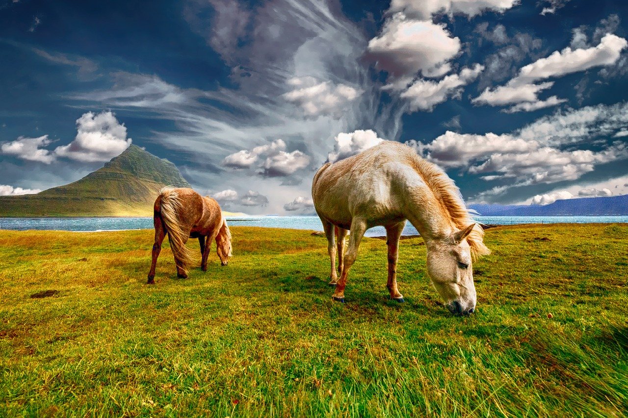 iceland tourism