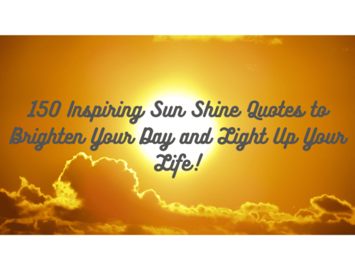 Sun Shine Quotes