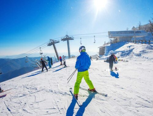 Ski and Snowboard Tips
