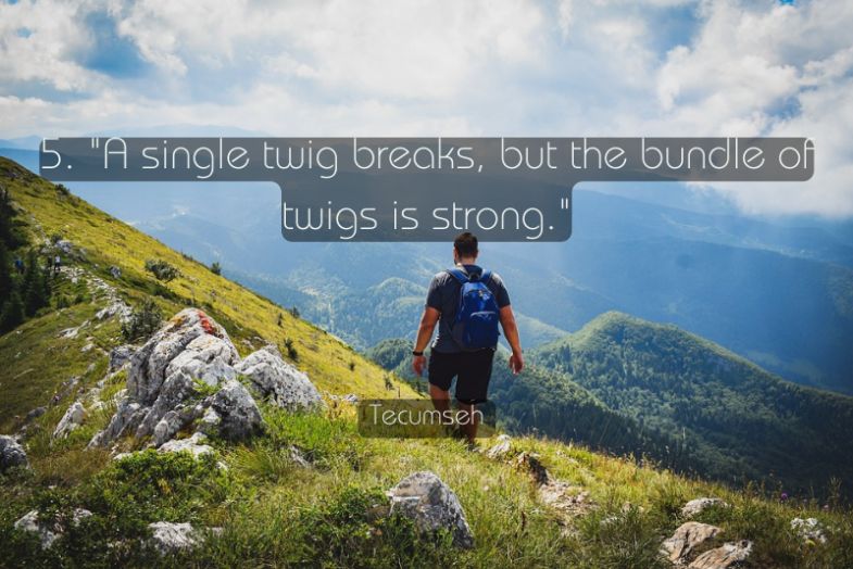 Quotes for Hiking