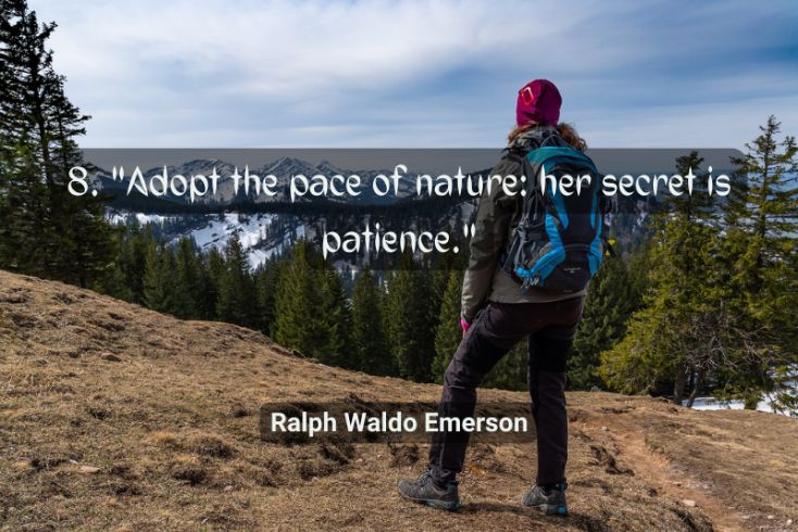 Quotes for Hiking