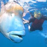 Australia travel tips