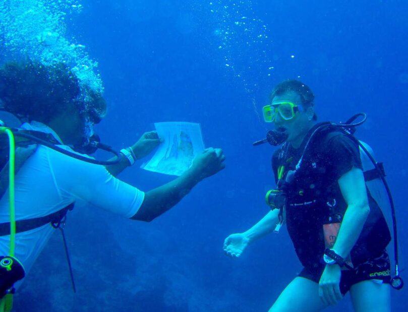 Maldives diving holidays