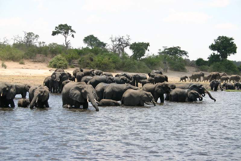 Best safari parks in Africa