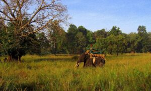 Elephant Safari in Kanha National Park